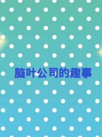 脑叶公司的趣事