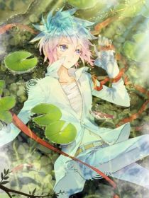 冬蝶：崩坏的礼乐