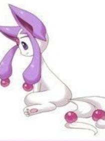 万族之战—过往未来