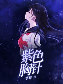 赛尔号：紫色胸针
