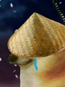 全职：语星恋凡