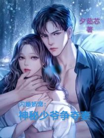 闪婚娇宠：神秘少爷争夺妻