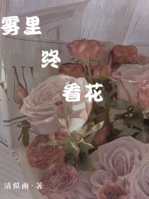 雾里终看花