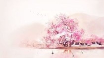 绝世蝶幻
