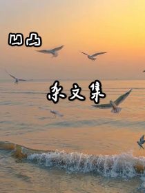 凹凸：一些杂文