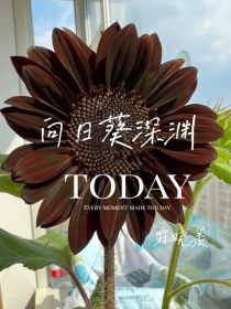 向日葵深渊