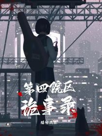 第四院区诡事录