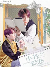 小苍兰爱恋