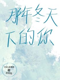 那年冬天下的你