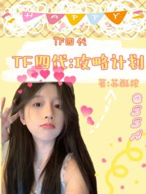 TF四代：攻略计划