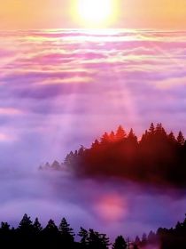 重燃之都市修真强少