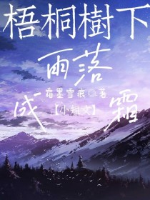 梧桐树下雨落成霜