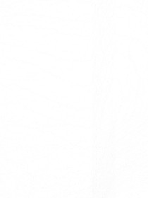 你来自异世界？