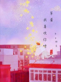 笨蛋，我喜欢你呀