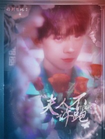 TF三代：夫人不许跑